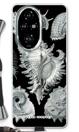 Haeckel Prosobranchia