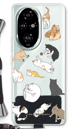 Cats