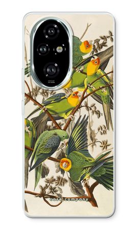 Carolina Parrot
