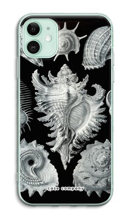 Haeckel Prosobranchia