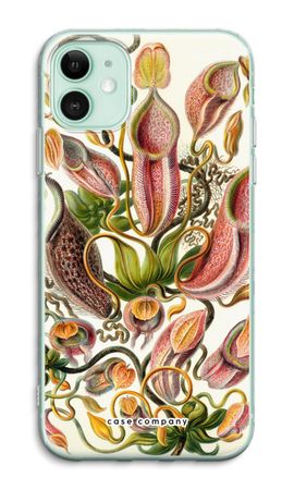 Haeckel Nepenthaceae