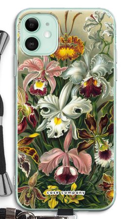 Haeckel Orchidae