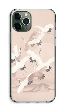 Japanese Crane Birds