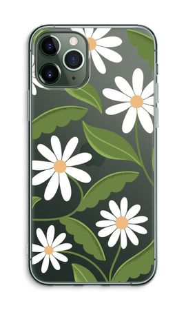 Daisies All Over