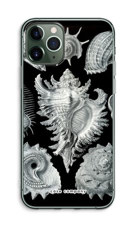 Haeckel Prosobranchia