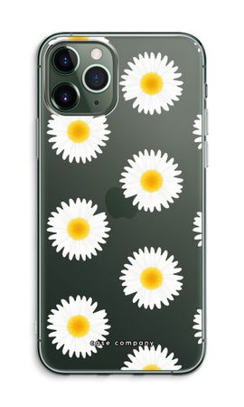 Daisies
