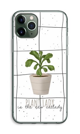 Houseplant on windowpane