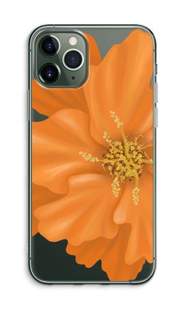 Orange Ellila flower