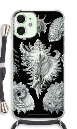 Haeckel Prosobranchia