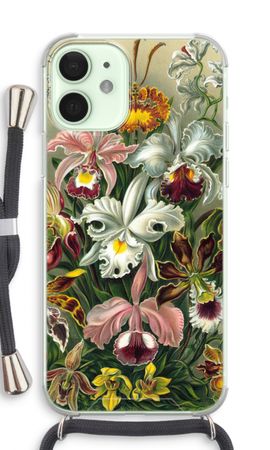 Haeckel Orchidae