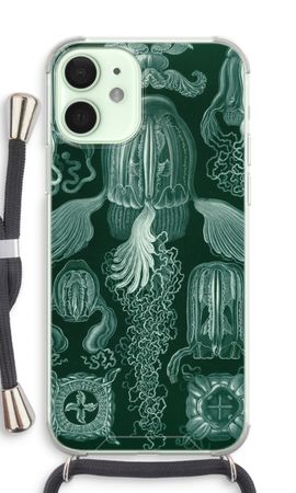 Haeckel Cubomedusae
