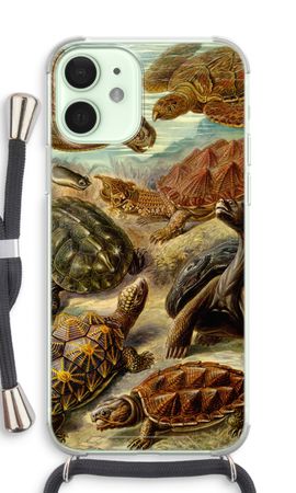 Haeckel Chelonia