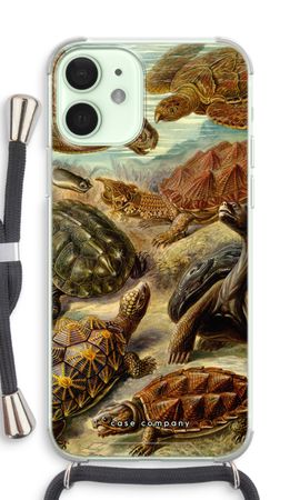 Haeckel Chelonia