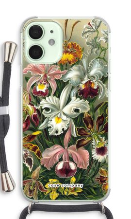 Haeckel Orchidae