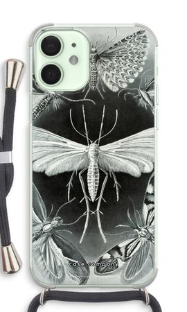 Haeckel Tineida