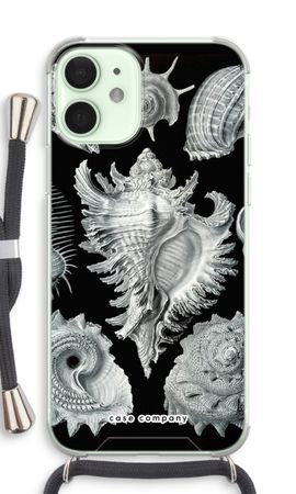 Haeckel Prosobranchia
