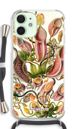 Haeckel Nepenthaceae