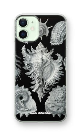 Haeckel Prosobranchia