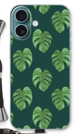 Monstera leaves