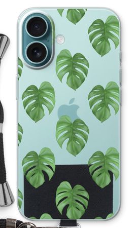 Monstera leaves
