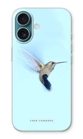 Hummingbird