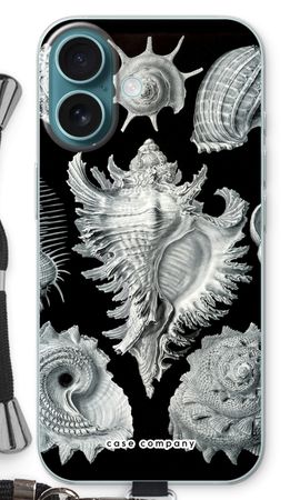 Haeckel Prosobranchia