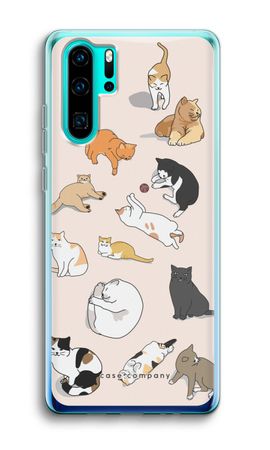 Cats