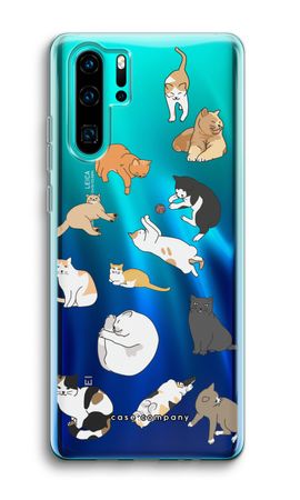 Cats