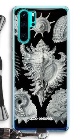 Haeckel Prosobranchia