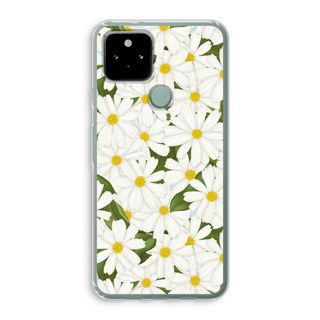 Summer Daisies