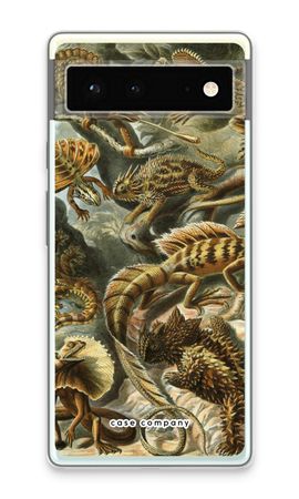 Haeckel Lacertilia