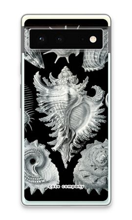 Haeckel Prosobranchia