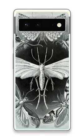 Haeckel Tineida