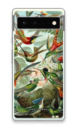 Haeckel Trochilidae