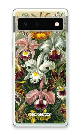 Haeckel Orchidae
