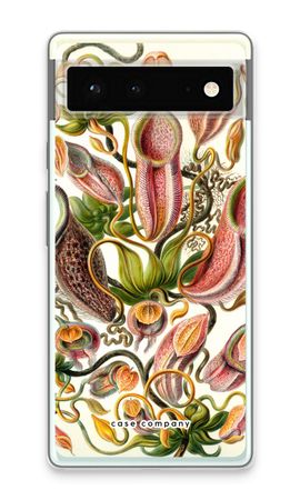 Haeckel Nepenthaceae