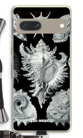 Haeckel Prosobranchia