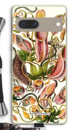 Haeckel Nepenthaceae