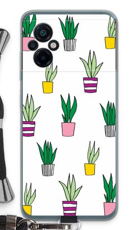 Sanseveria