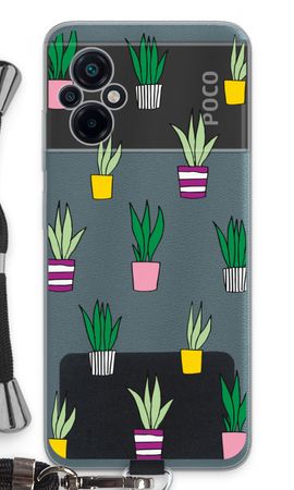 Sanseveria