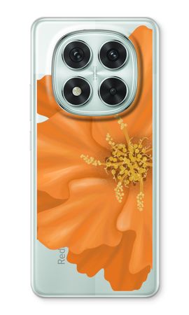 Orange Ellila flower