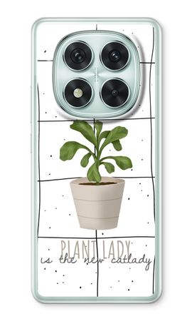 Houseplant on windowpane