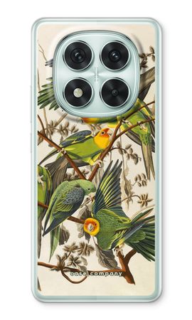 Carolina Parrot