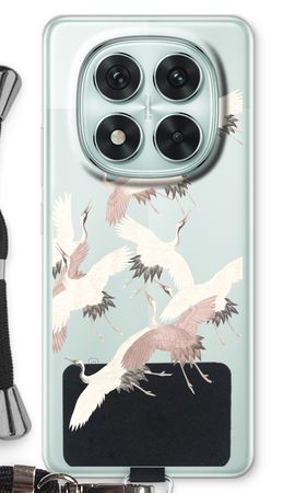 Japanese Crane Birds