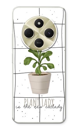 Houseplant on windowpane