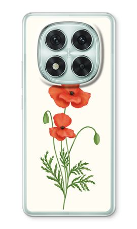 Red poppy