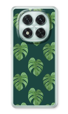 Monstera leaves