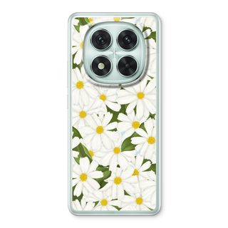 Summer Daisies