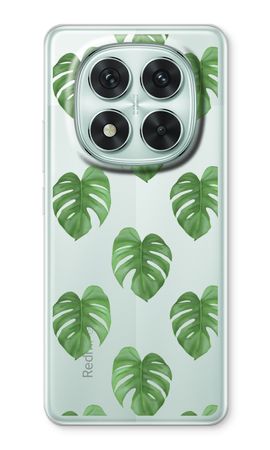 Monstera leaves
