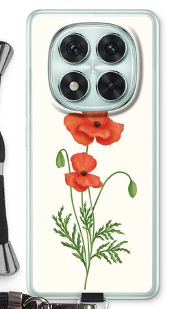 Red poppy